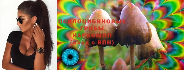 ПСИЛОЦИБИНОВЫЕ ГРИБЫ Аркадак
