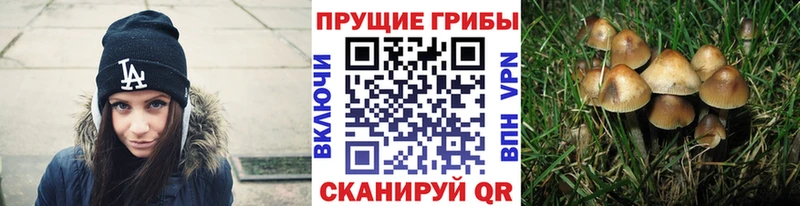 Псилоцибиновые грибы MAGIC MUSHROOMS Приморско-Ахтарск